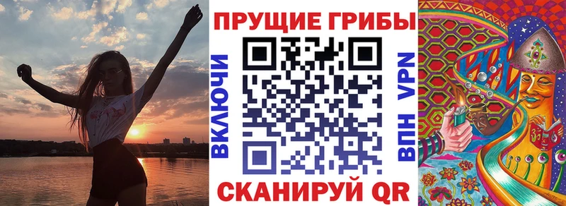 Псилоцибиновые грибы Psilocybe  Печора 