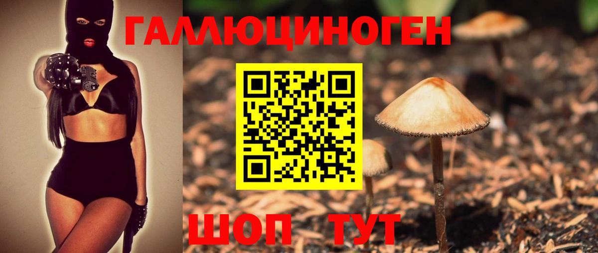 Печора  Псилоцибиновые грибы мицелий  Вход с VPN 